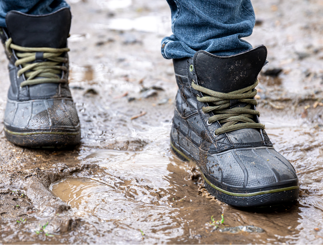 WorldBoots